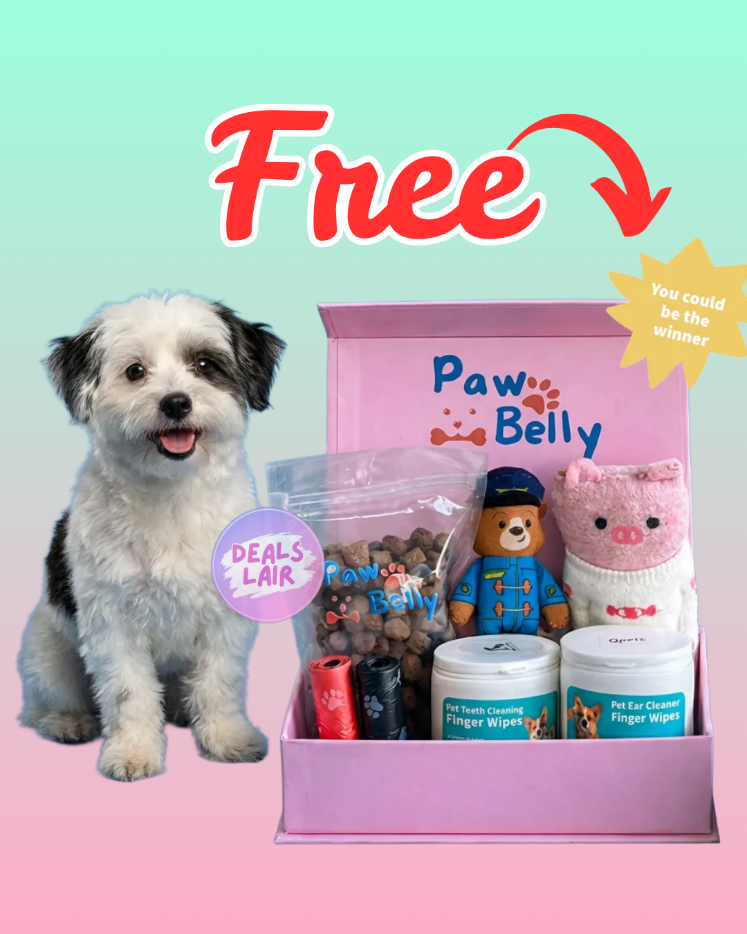 FREE 3 tháng hộp quà cho cún cưng